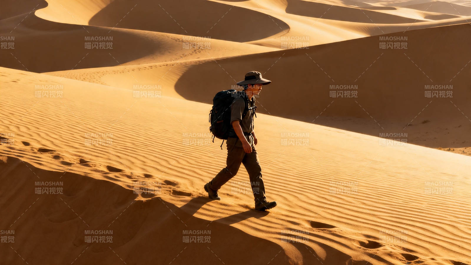 沙漠行者 孤影踏沙行图片