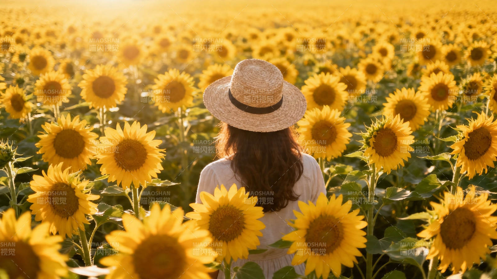 向日葵海中的草帽少女图片