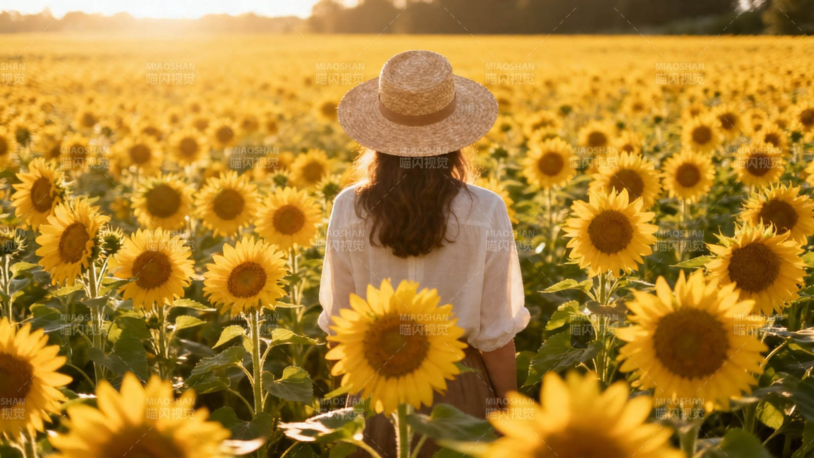 向日葵海中的背影图片