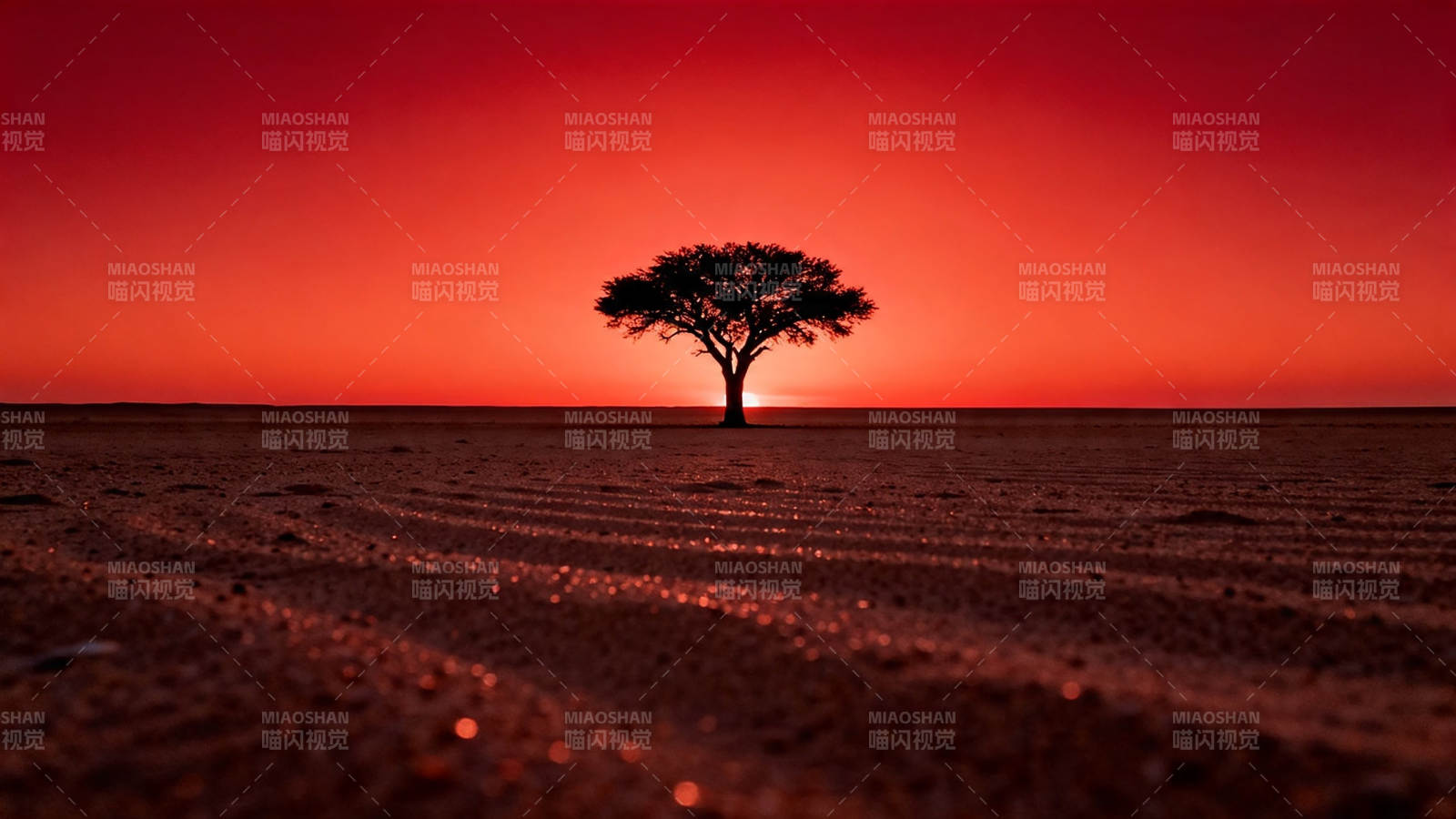 红霞孤树 荒漠夕照图片