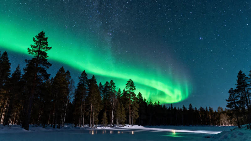 极光舞雪夜 绿光映林静图片