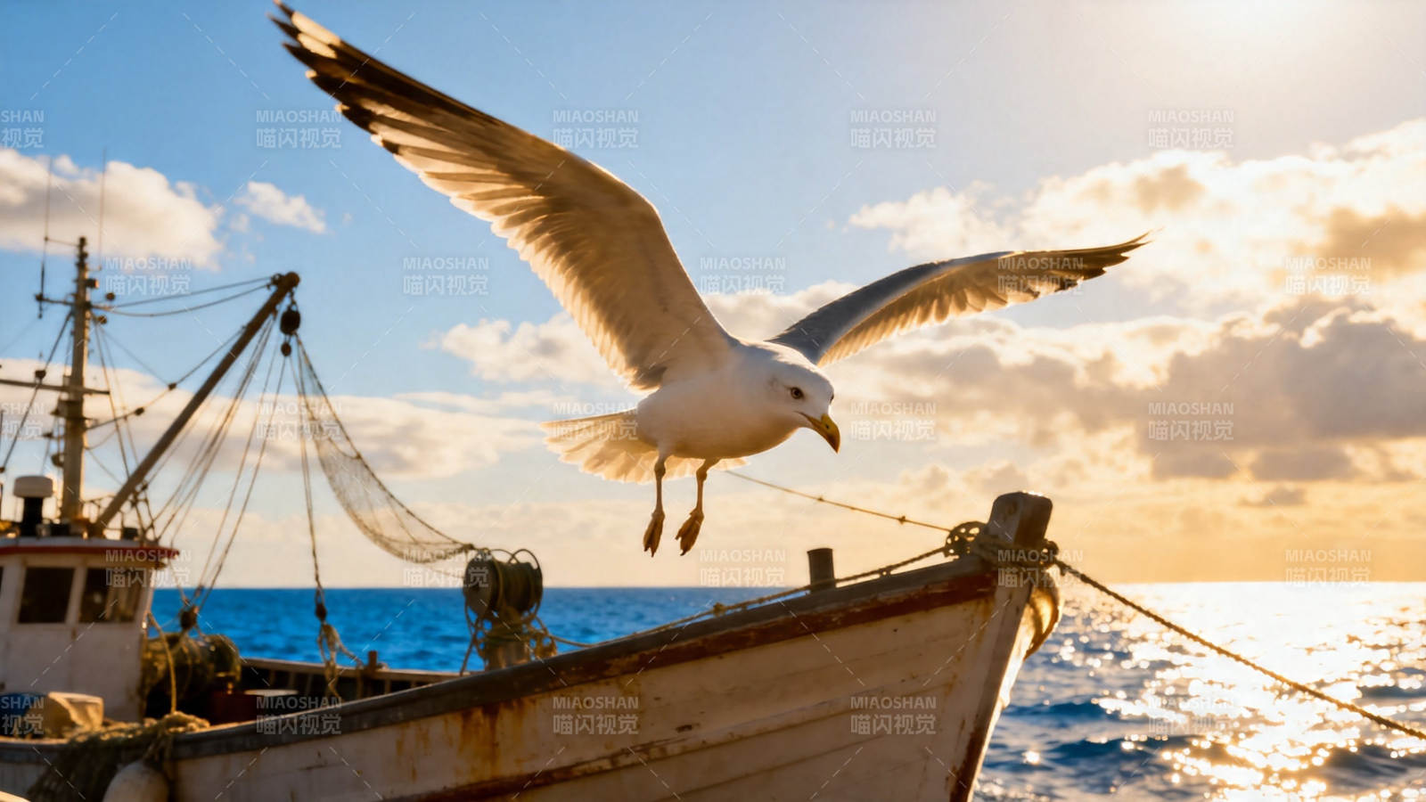 海鸥掠渔船 夕阳映海天图片