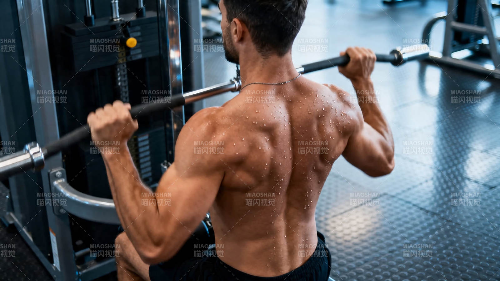 健身男背肌训练特写图片