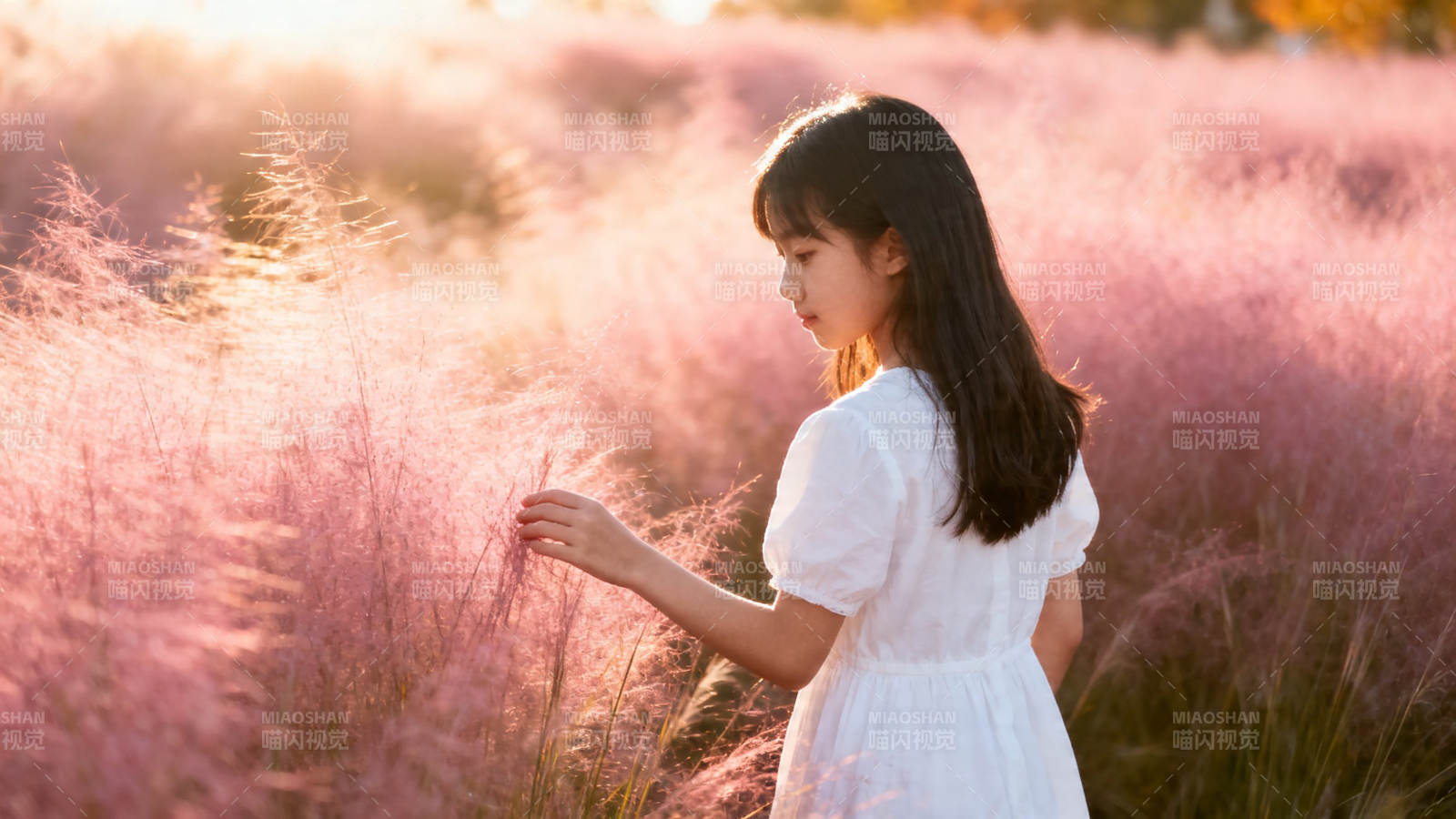 粉黛如梦 少女轻抚花穗图片