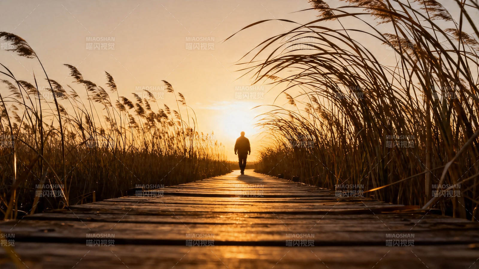 夕阳下 一人独行木栈道图片