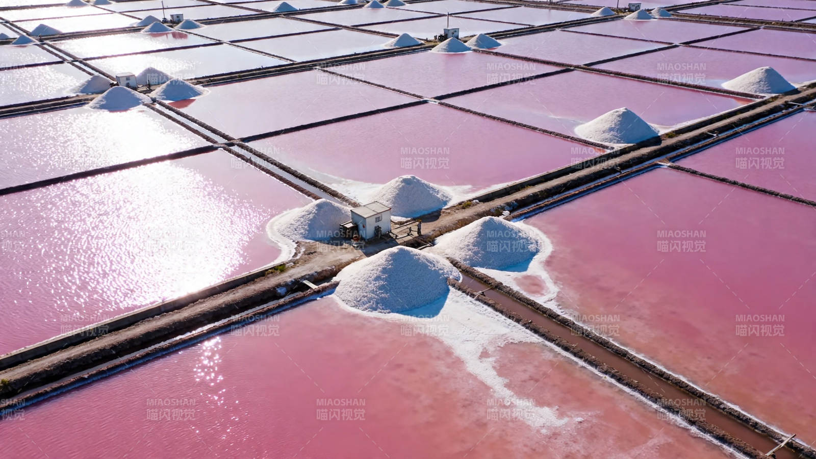 粉红盐田 如调色盘般绚烂图片