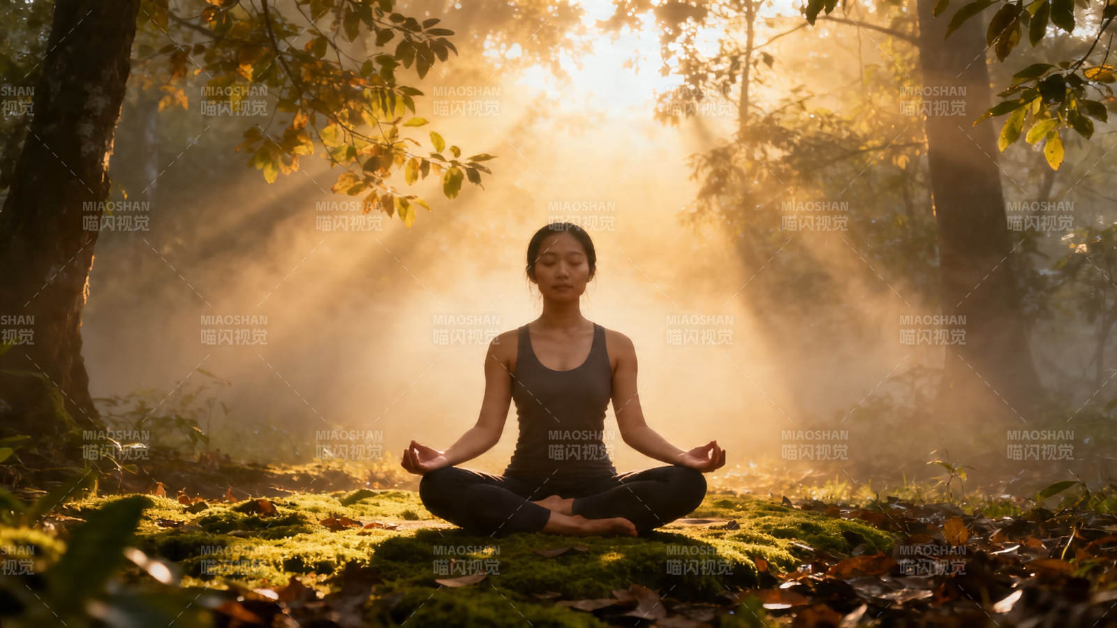 林间晨光 静坐冥想图片
