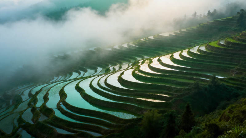 云雾梯田 层叠如诗图片