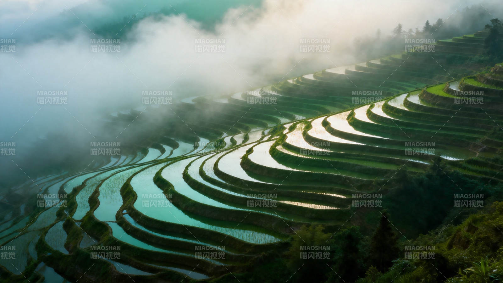 云雾梯田 层叠如诗图片