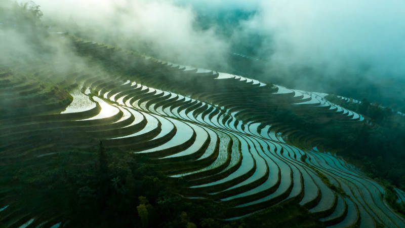 云雾梯田 如诗如画图片