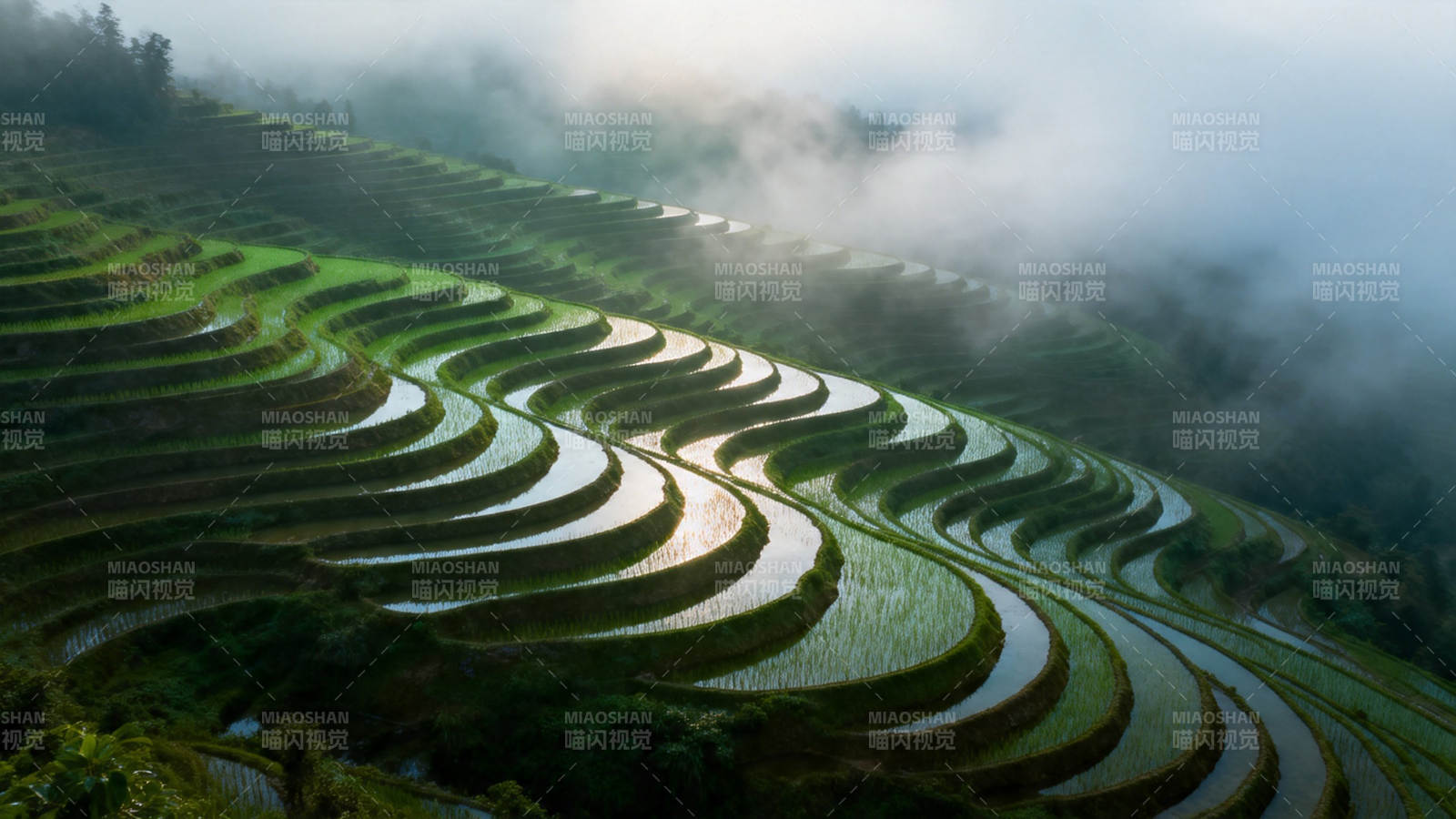 云雾梯田 层层叠翠如画图片