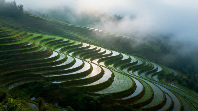 云雾梯田 层层叠翠如画图片