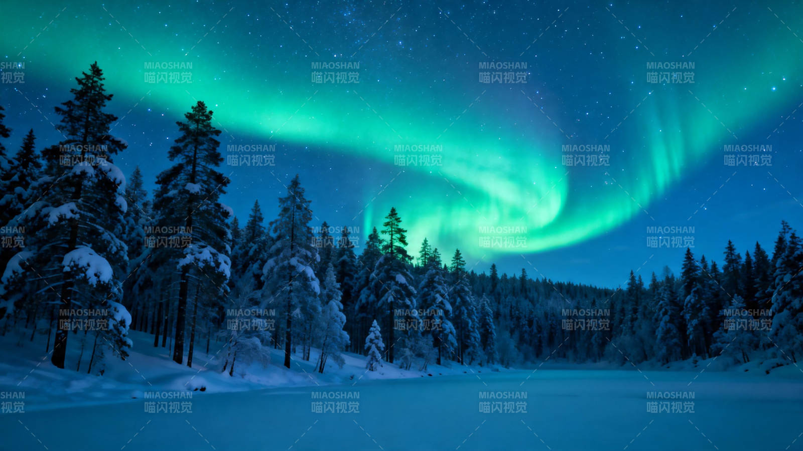 极光舞雪夜 绿光映林湖图片