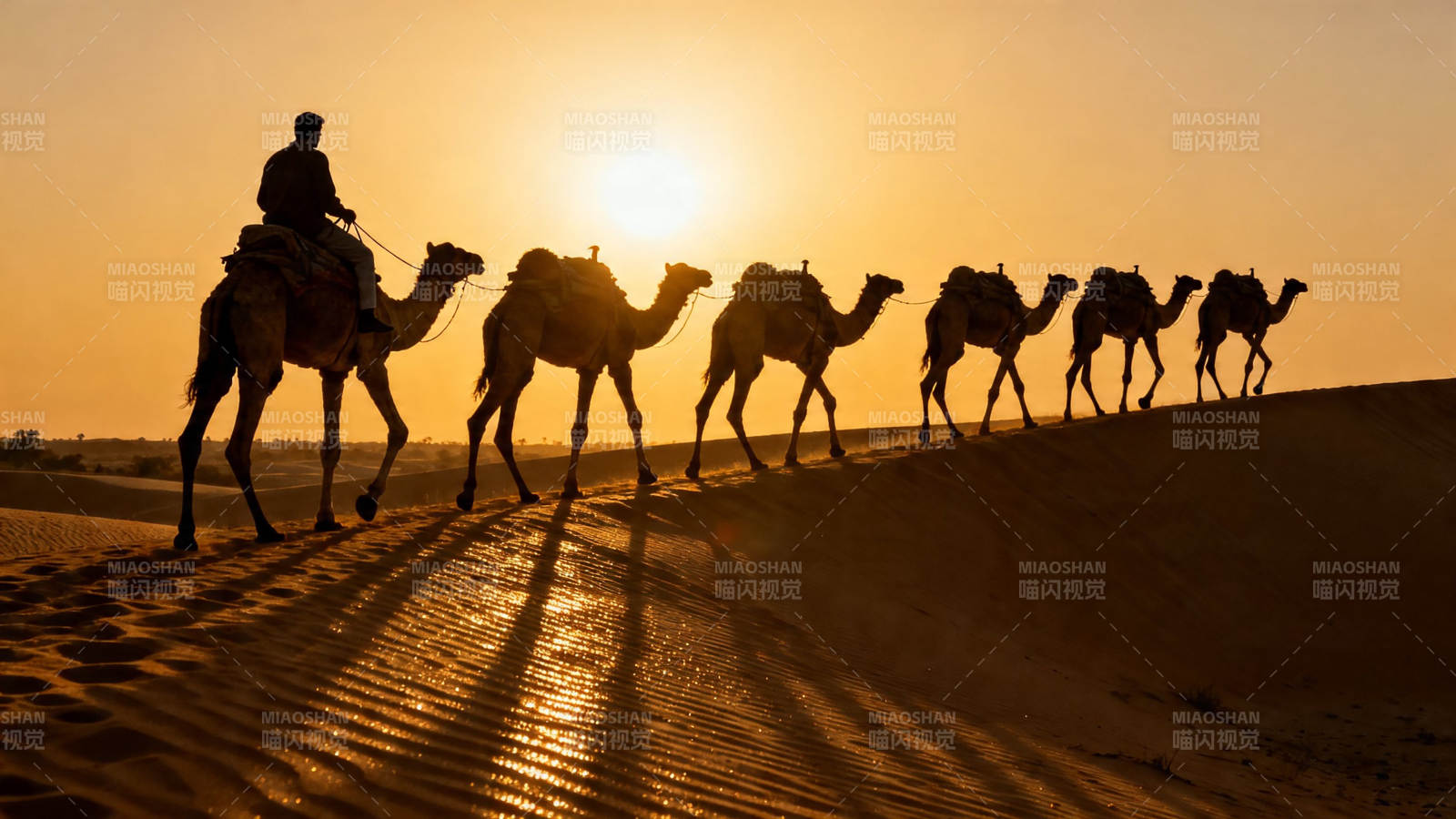 沙漠驼队剪影行图片