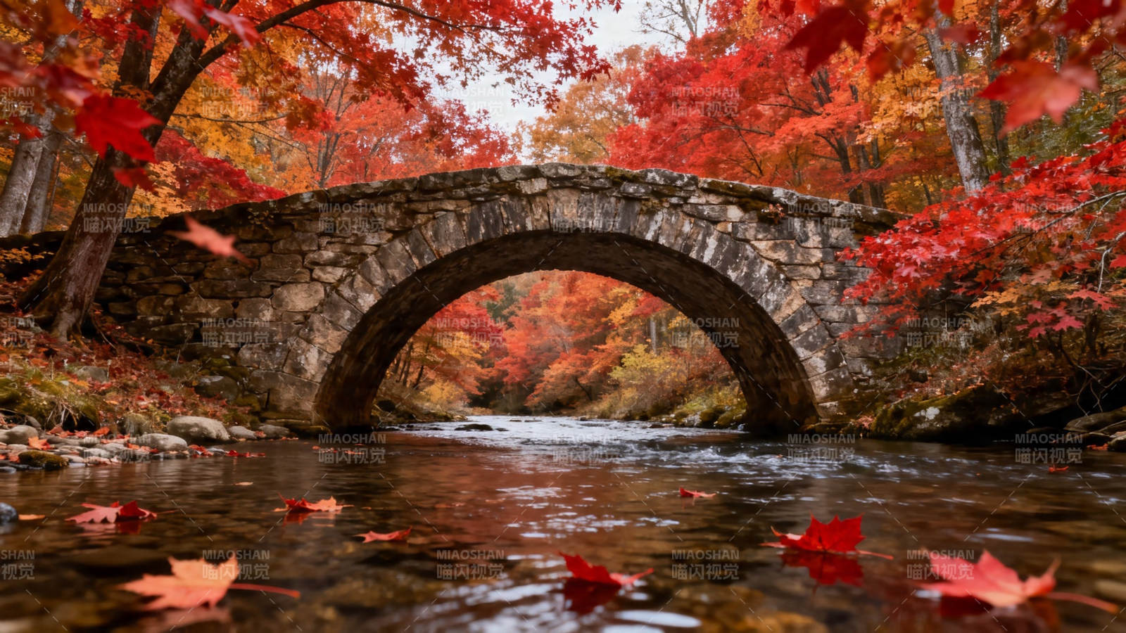 秋桥红叶映溪流图片