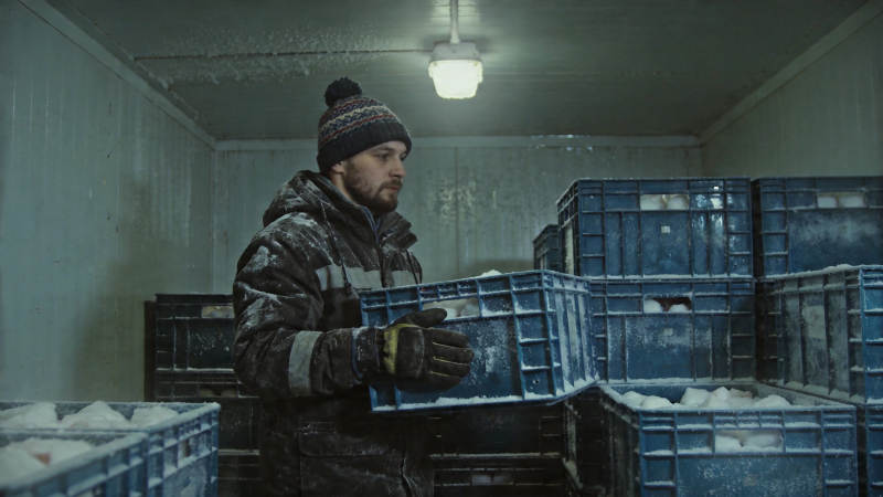 冷库工人搬运蓝色塑料箱图片