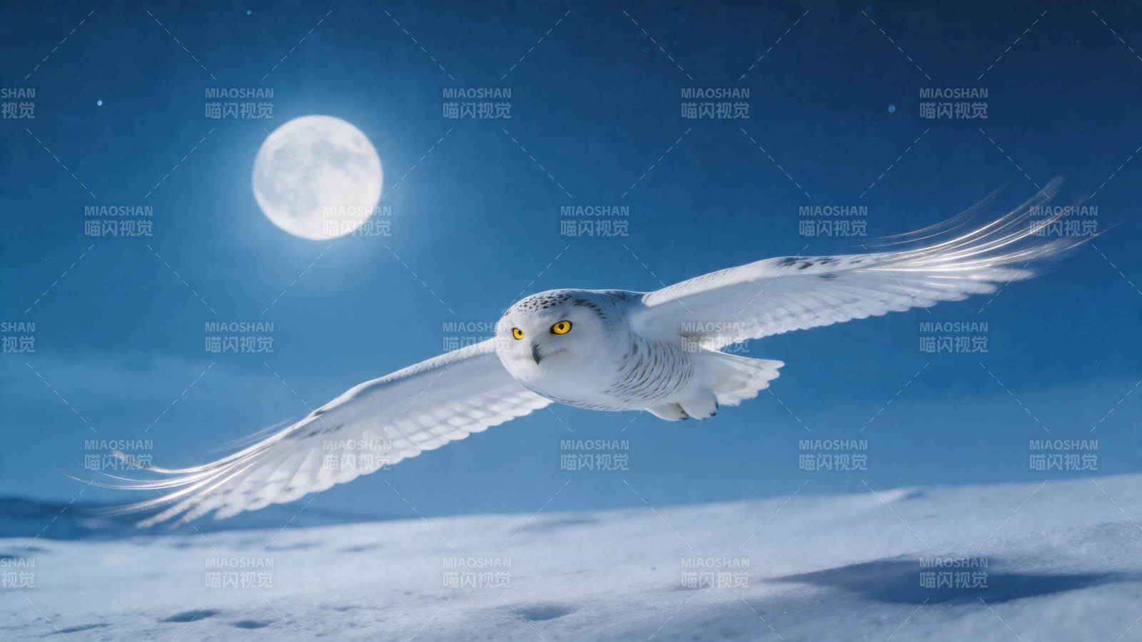 月下雪鸮夜飞掠雪原图片
