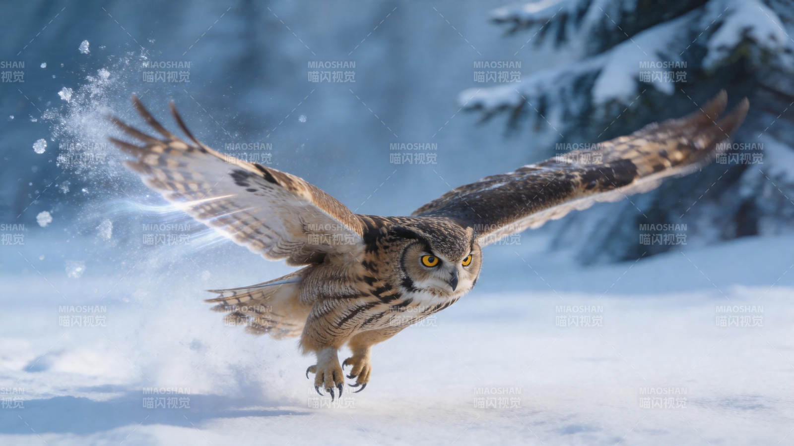 雪夜猛禽扑击瞬间图片