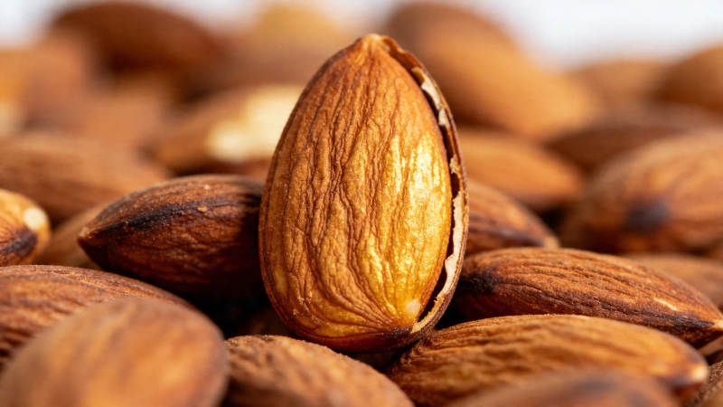 杏仁特写 金黄饱满诱人图片