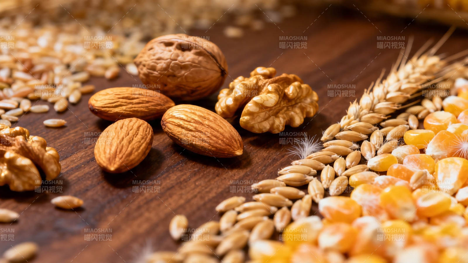 坚果谷物玉米丰收图景图片