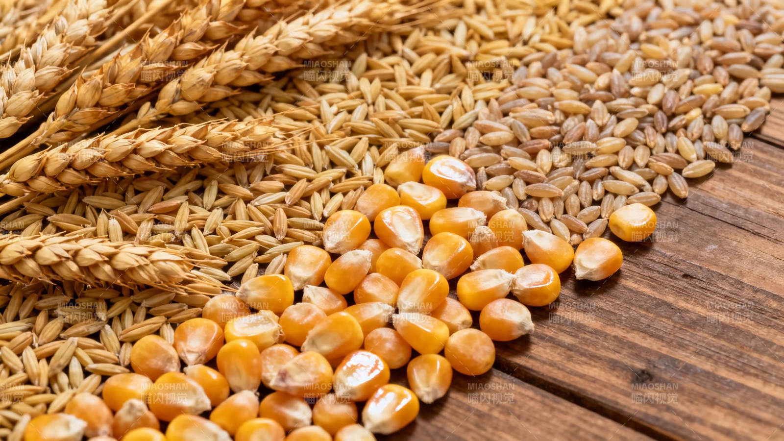 麦穗玉米粒木桌特写图片