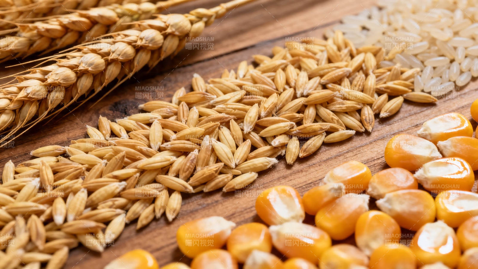 五谷丰登 麦稻玉米粒粒香图片