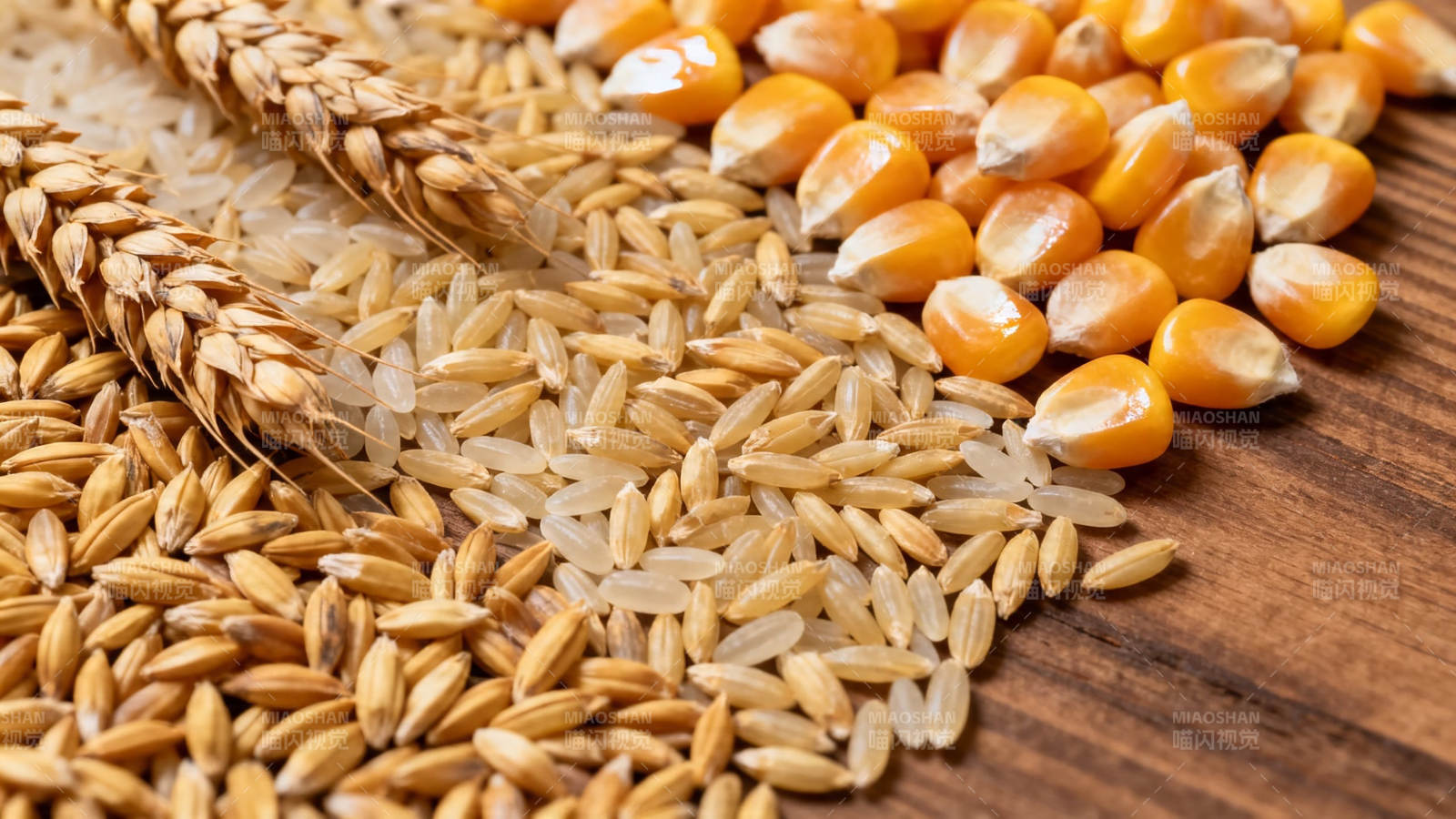 谷物丰收 麦稻玉米共舞图片