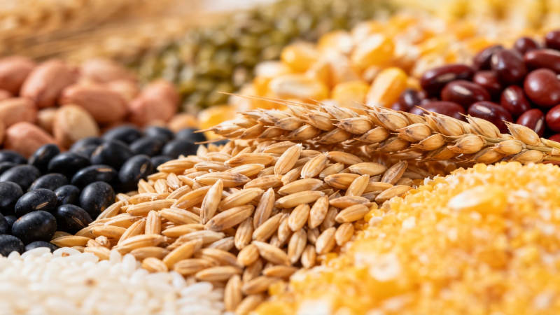 五谷杂粮丰收图图片