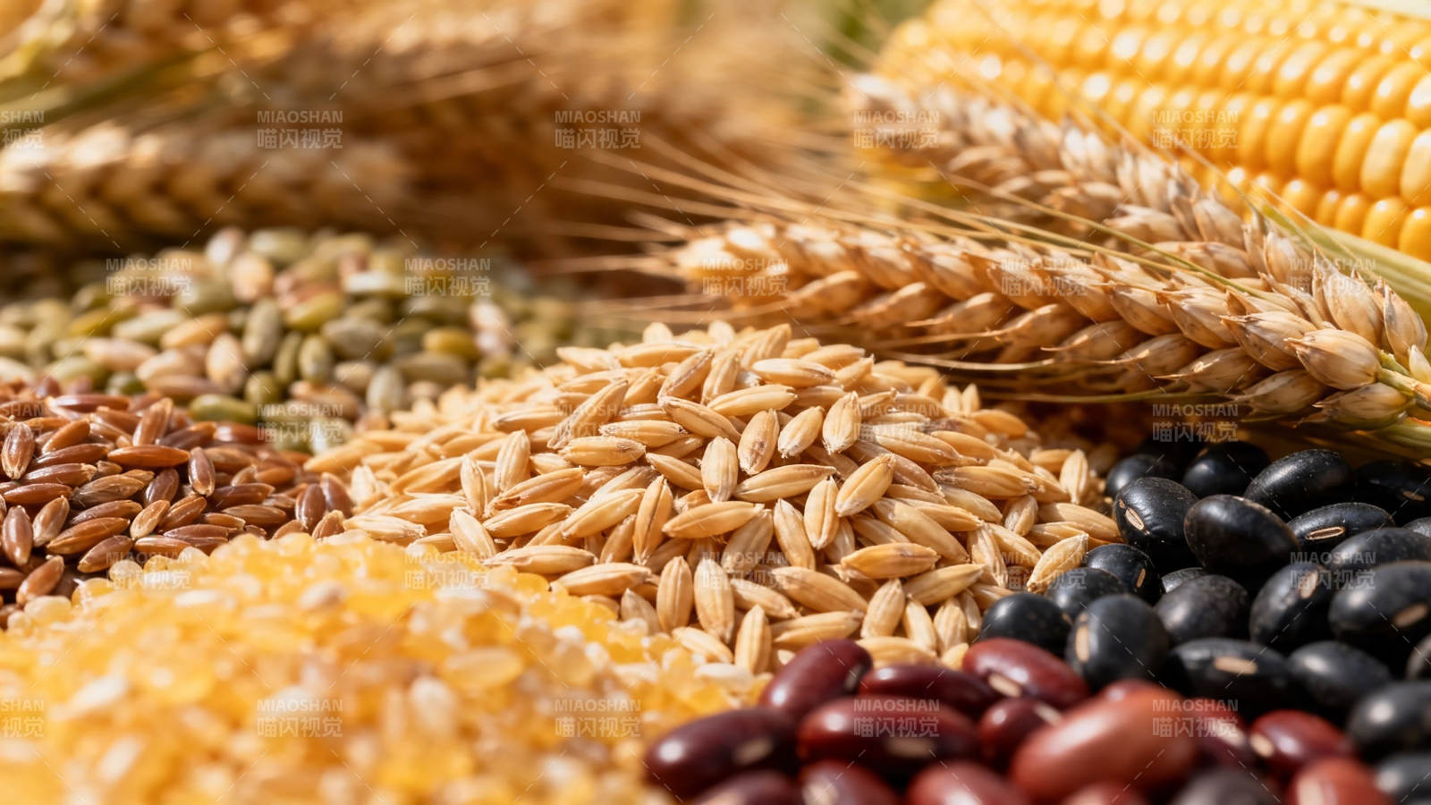 五谷丰登 粮满仓廪图片