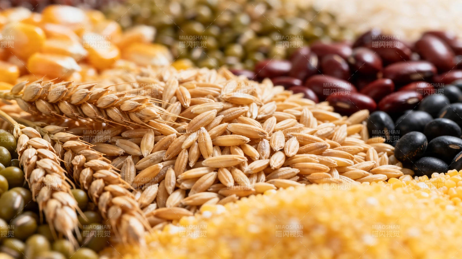 五谷杂粮丰富多样图片