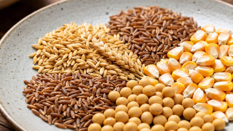 五谷杂粮拼盘展示图片