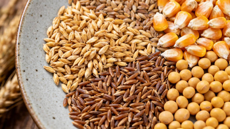 五谷杂粮拼盘特写图片