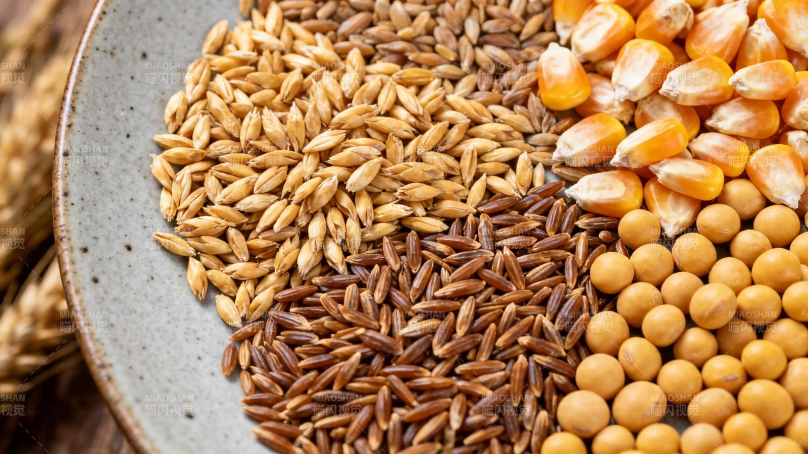 五谷杂粮拼盘特写图片
