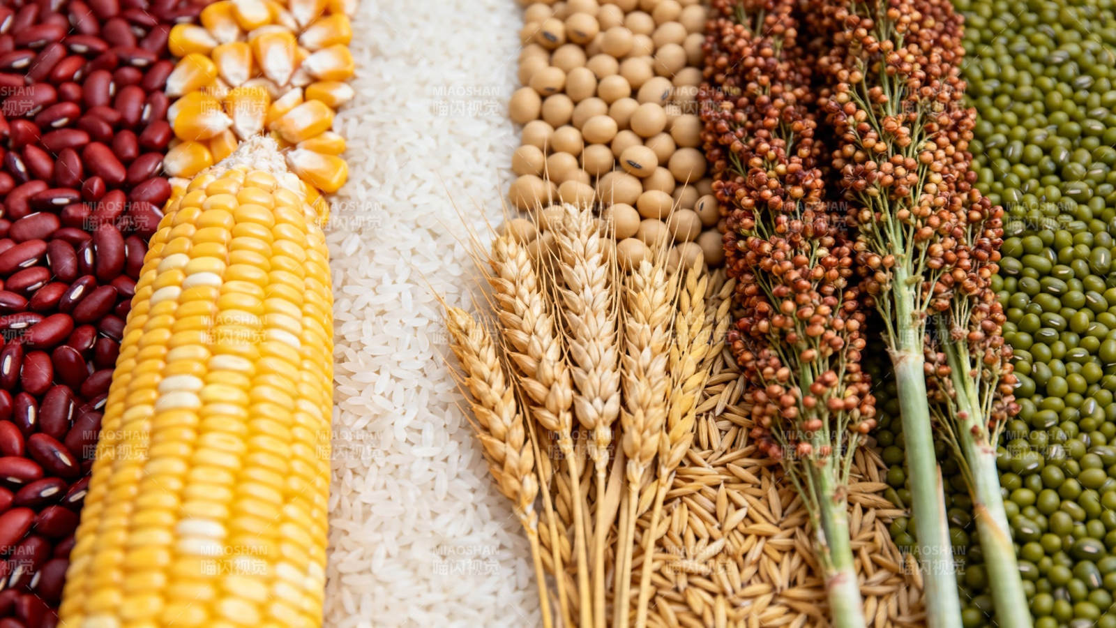 五谷丰登 粮满仓廪图片