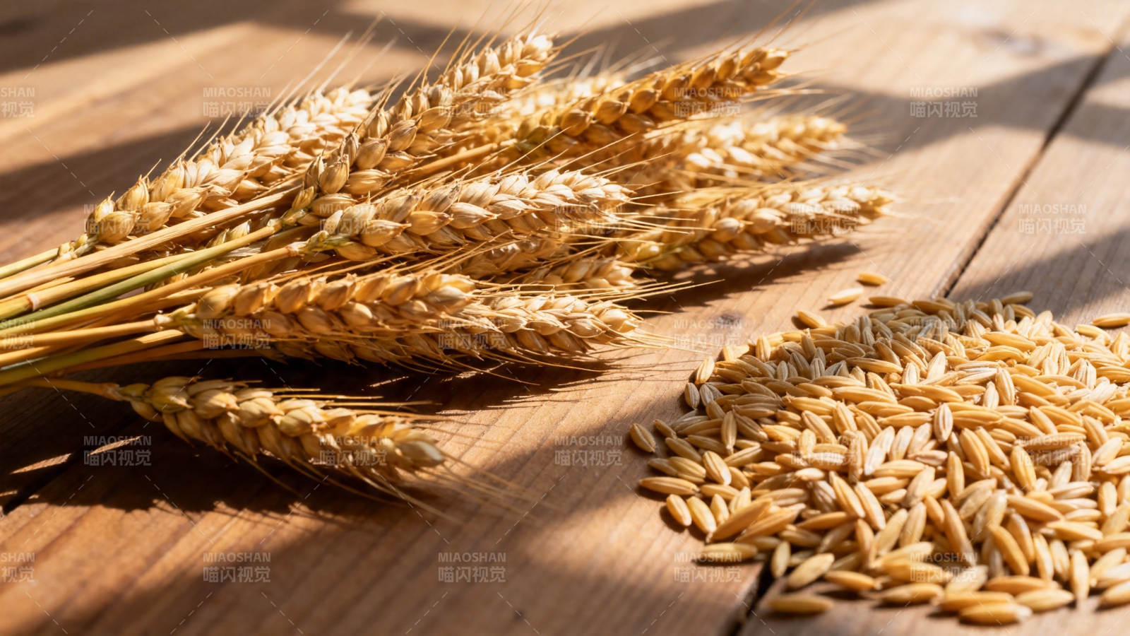 麦穗与麦粒 阳光下的丰收图片