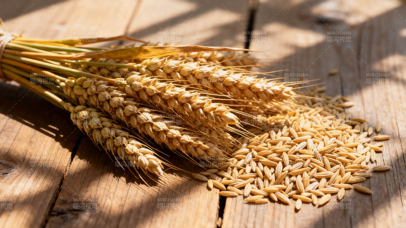 麦穗与谷粒 阳光下的丰收图片