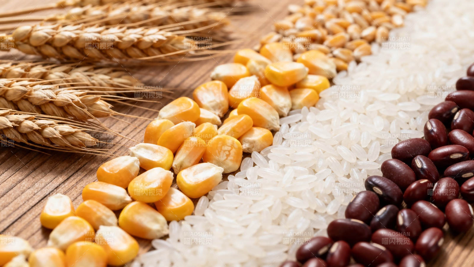 五谷丰登 麦玉米豆稻图片