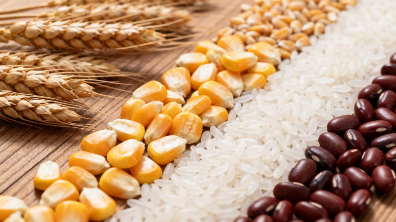 五谷丰登 麦玉米豆稻图片