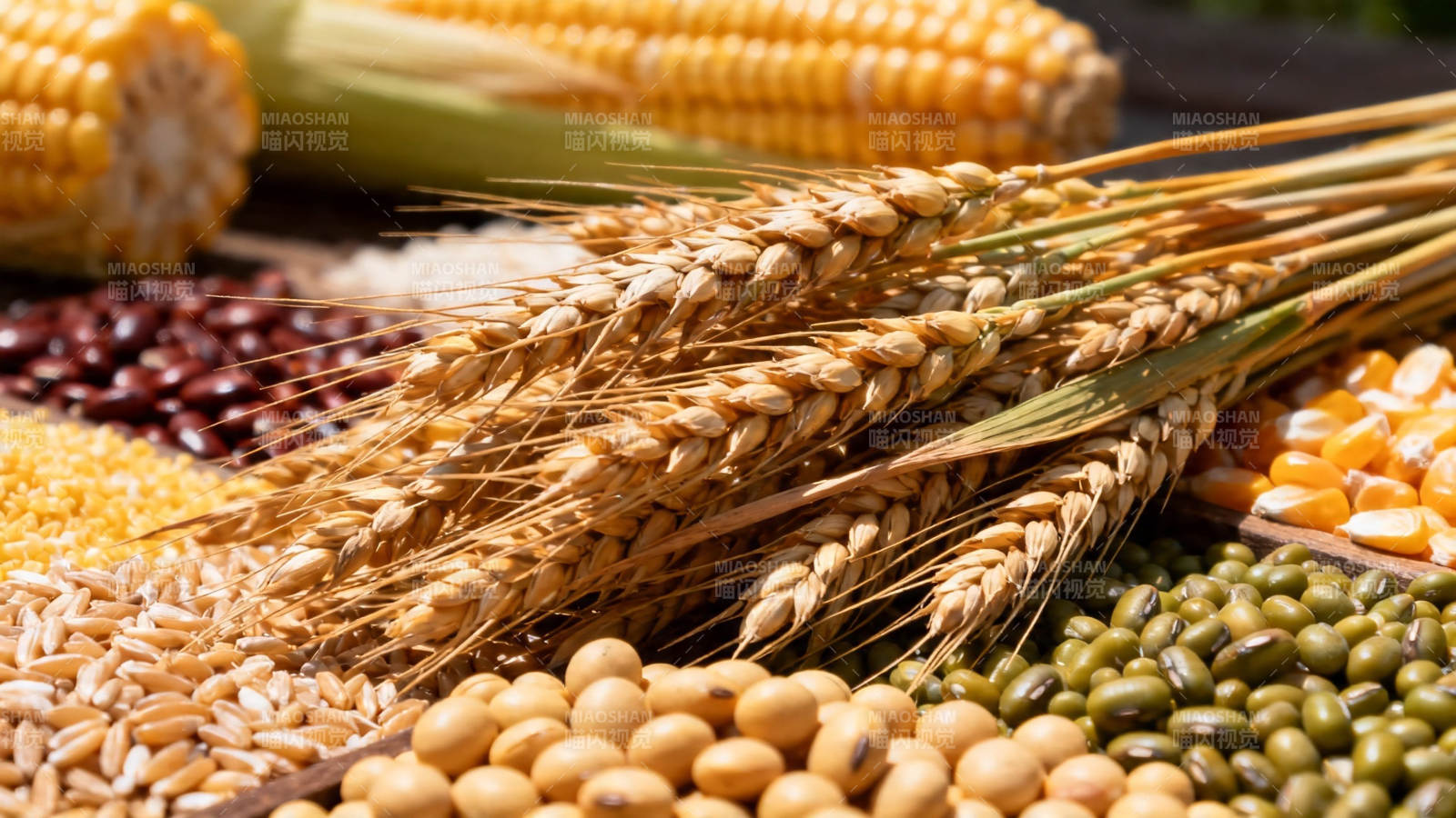 五谷丰登 粮满仓廪图片