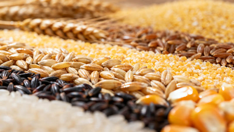 五谷丰登 粮满仓廪图片