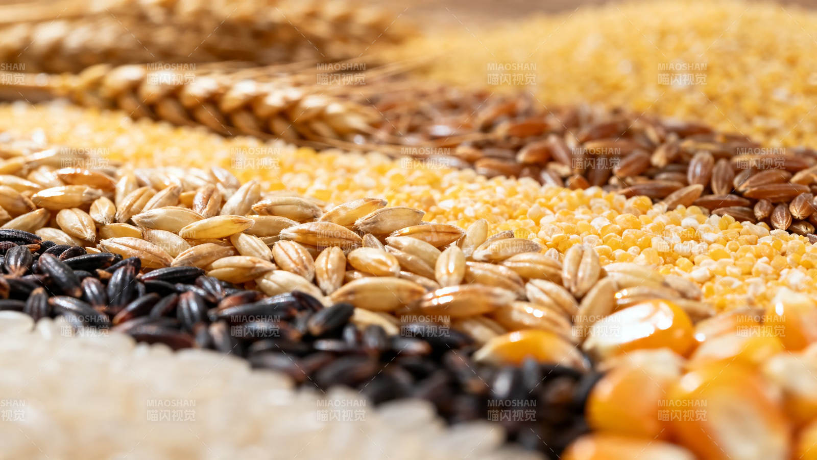 五谷丰登 粮满仓廪图片