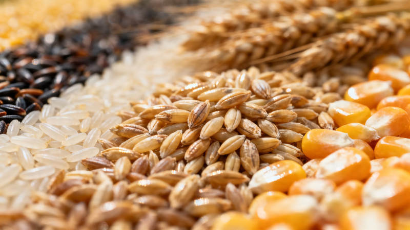 五谷丰登 粮满仓廪图片