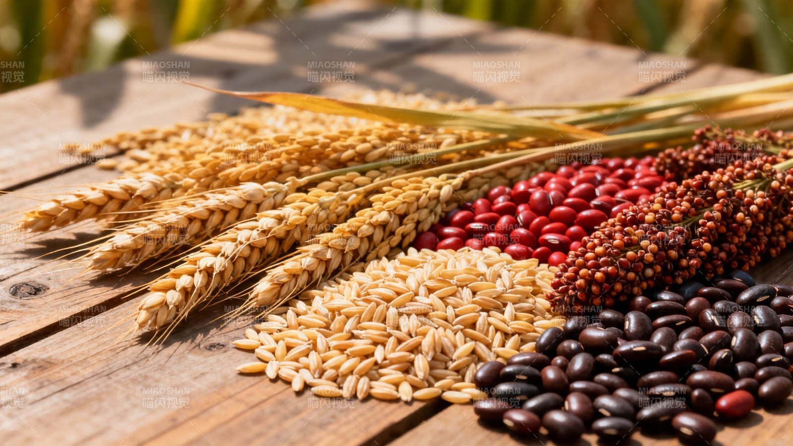 五谷丰登 自然馈赠图片