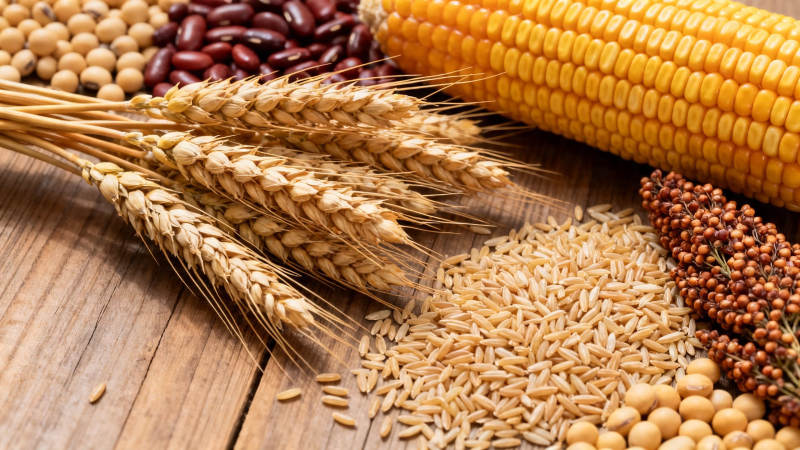 五谷丰登 粮仓满溢图片