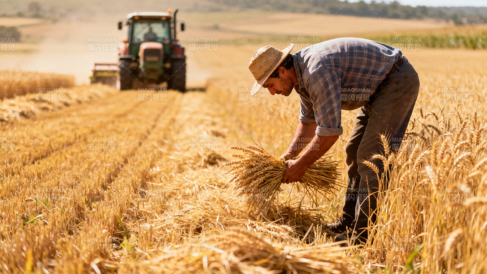 麦田劳作 拖拉机远行图片