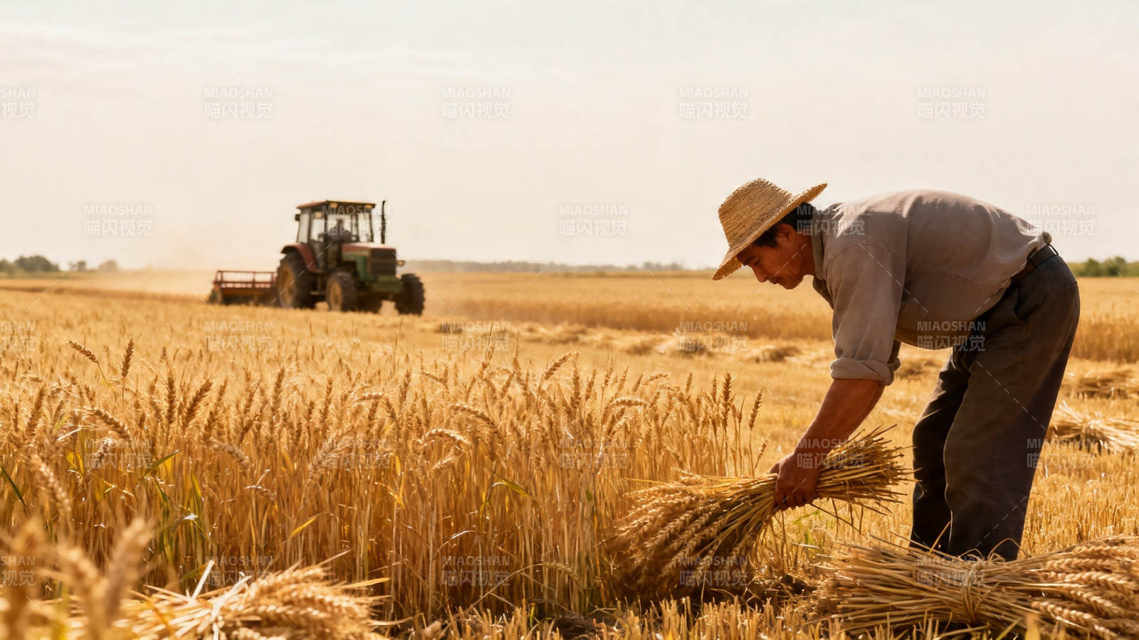 麦田劳作 拖拉机远处作业图片