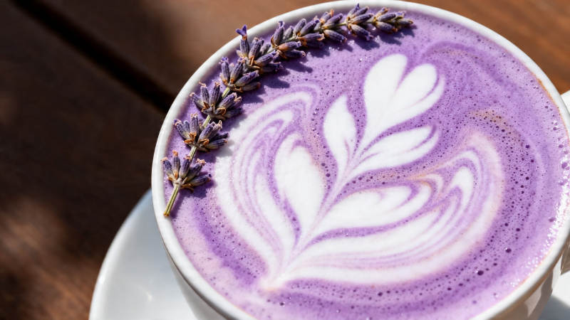 紫芋拿铁 薰衣草点缀图片