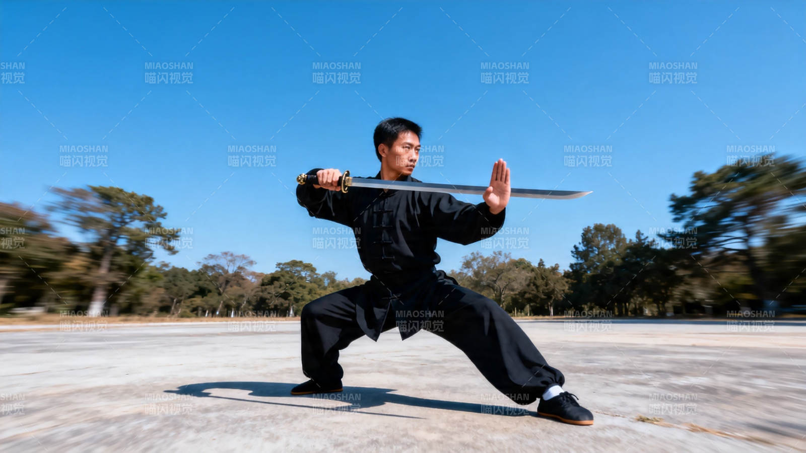 武者持剑 蓝天之下展英姿图片