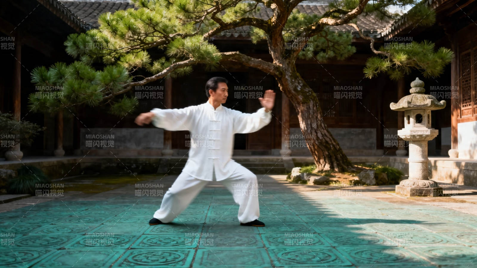 庭院太极 松影伴身行图片