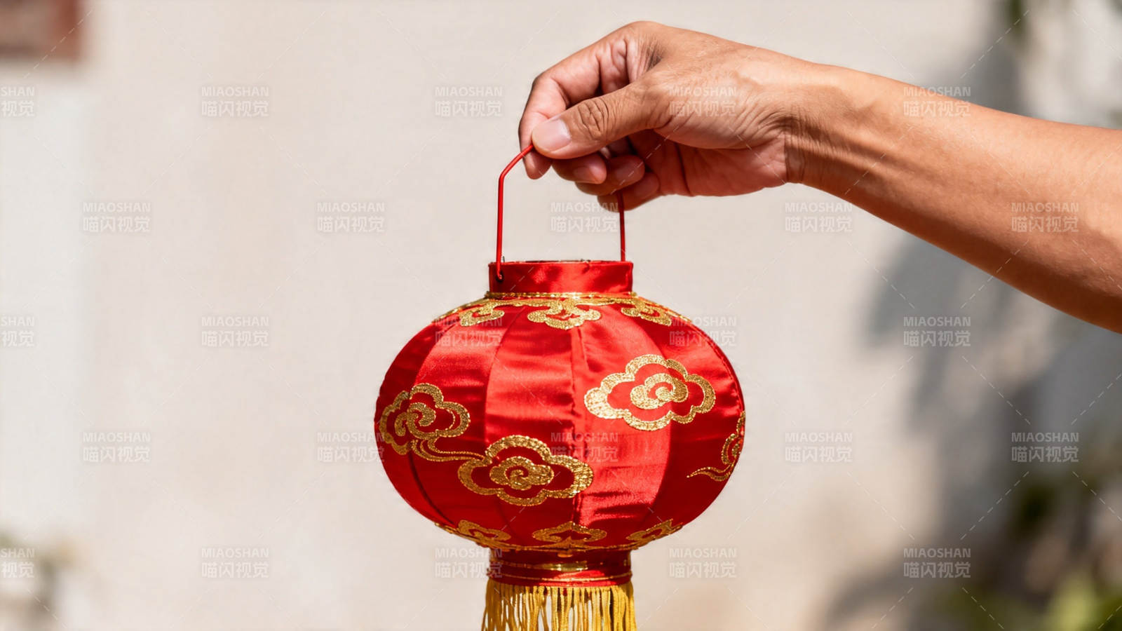 手提红灯笼 喜庆迎佳节图片